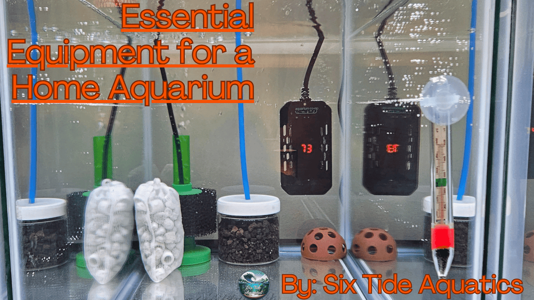 Essential Equipment for a Home Aquarium: A Guide from Six Tide Aquatics