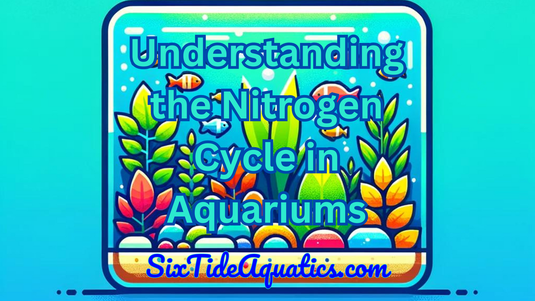 Understanding the Nitrogen Cycle in Aquariums