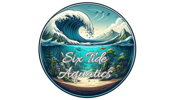 Six Tide Aquatics